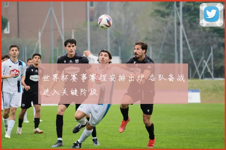世界杯赛事赛程安排出炉 各队备战进入关键阶段