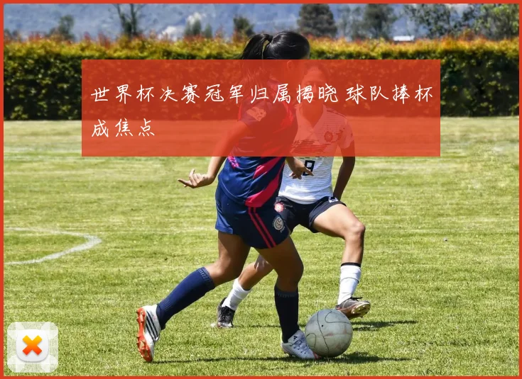 世界杯决赛冠军归属揭晓 球队捧杯成焦点