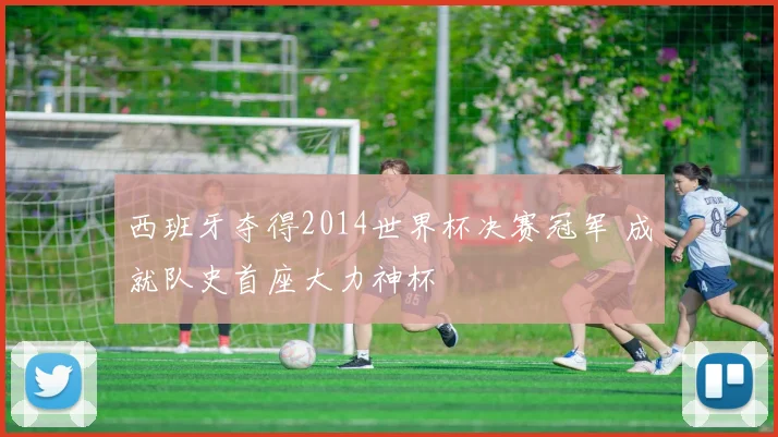 西班牙夺得2014世界杯决赛冠军 成就队史首座大力神杯