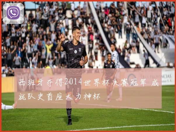 西班牙夺得2014世界杯决赛冠军 成就队史首座大力神杯